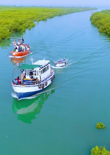 Island Image