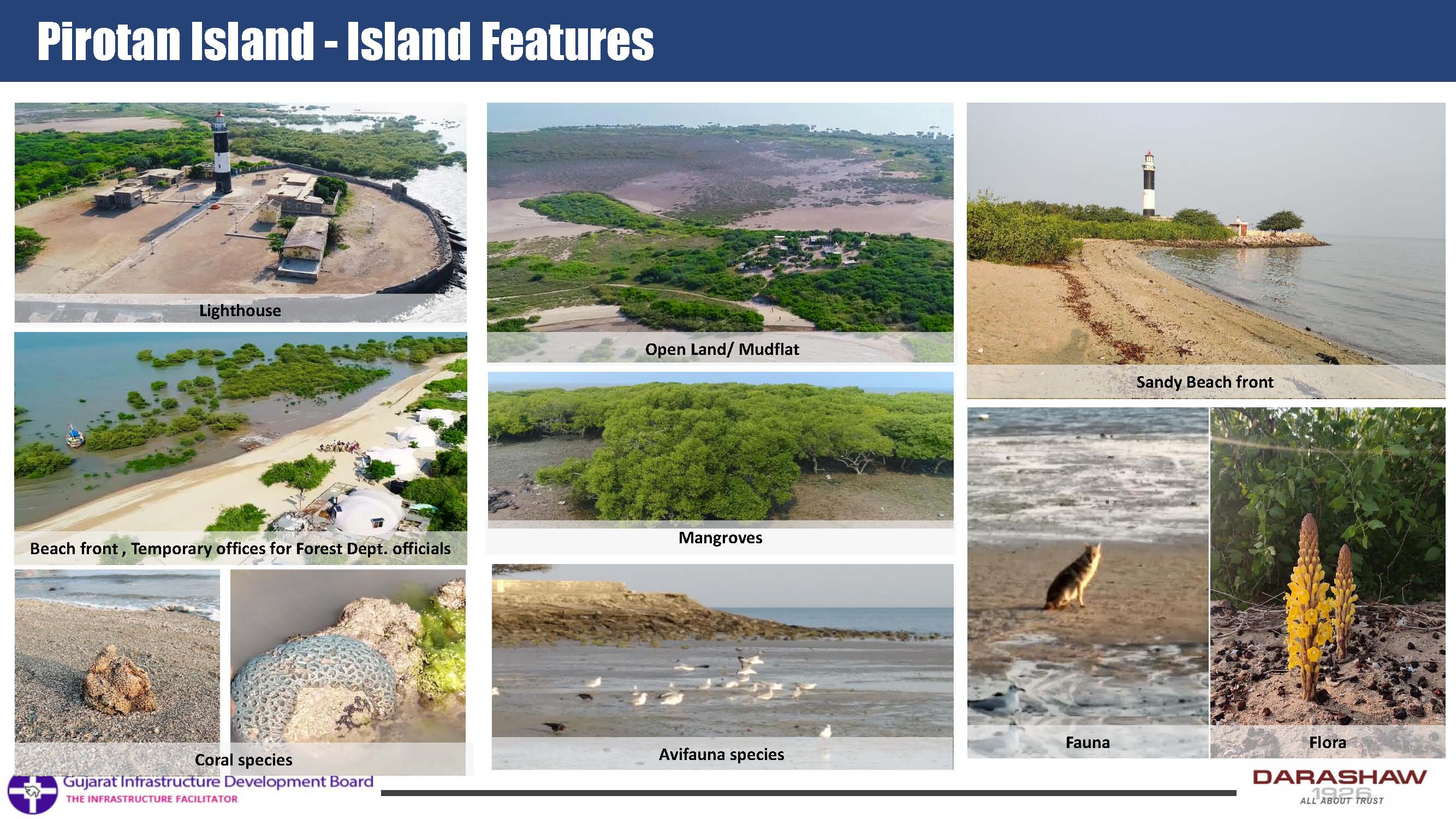 Pirotan Island 4